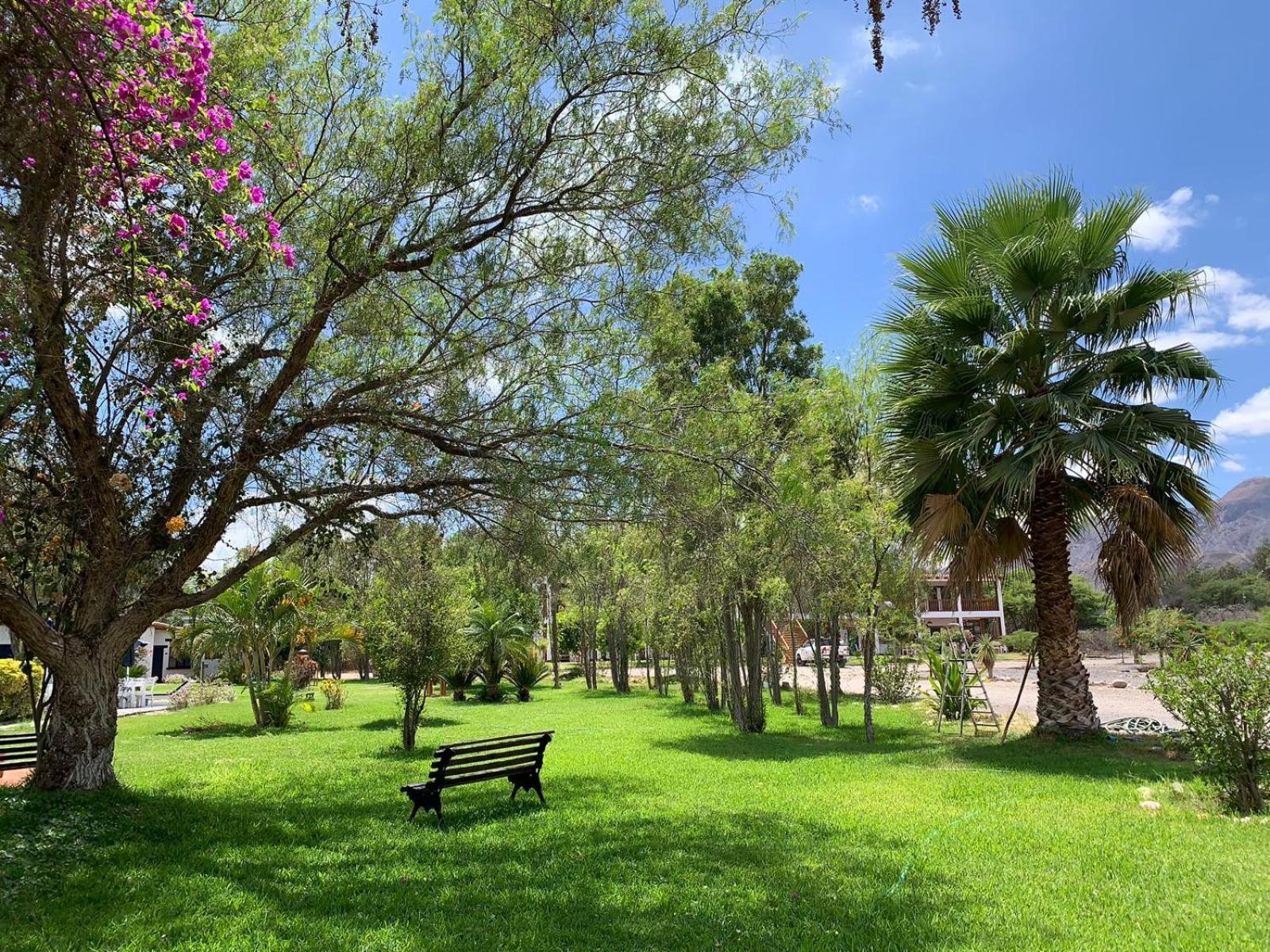 Casa Hacienda Nasca Oasis Hotel Наска Екстериор снимка