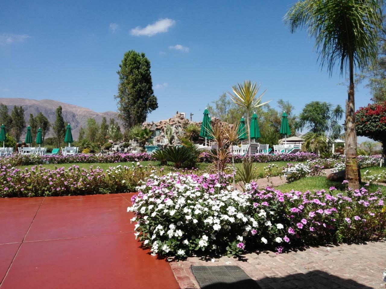 Casa Hacienda Nasca Oasis Hotel Наска Екстериор снимка